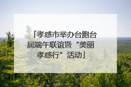 孝感市举办台胞台属端午联谊暨“美丽孝感行”活动