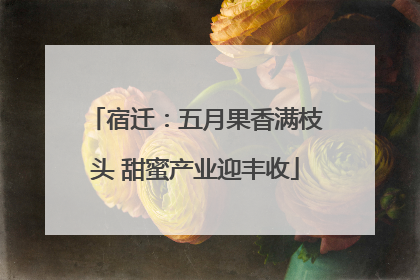 宿迁：五月果香满枝头 甜蜜产业迎丰收