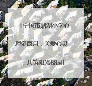 宁国市鼎湖小学心理健康月：关爱心灵，共筑阳光校园