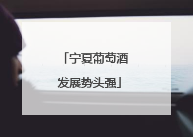 宁夏葡萄酒发展势头强
