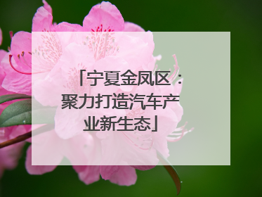 宁夏金凤区：聚力打造汽车产业新生态