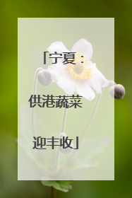 宁夏：供港蔬菜迎丰收