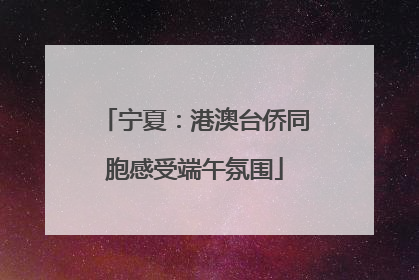 宁夏：港澳台侨同胞感受端午氛围