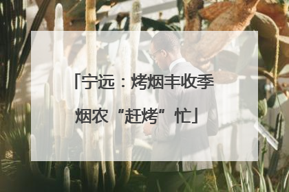 宁远：烤烟丰收季 烟农“赶烤”忙