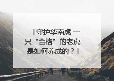 守护华南虎 一只“合格”的老虎是如何养成的？