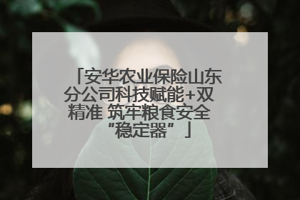 安华农业保险山东分公司科技赋能+双精准 筑牢粮食安全“稳定器”