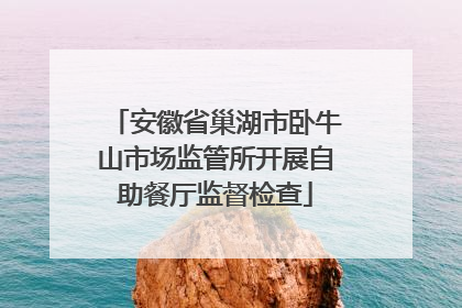 安徽省巢湖市卧牛山市场监管所开展自助餐厅监督检查