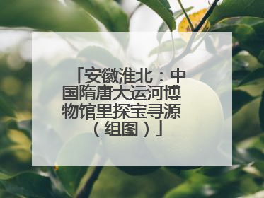 安徽淮北：中国隋唐大运河博物馆里探宝寻源（组图）
