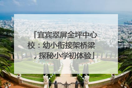 宜宾翠屏金坪中心校：幼小衔接架桥梁，探秘小学初体验