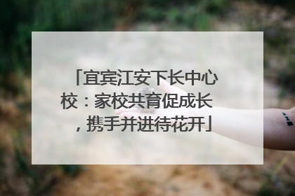 宜宾江安下长中心校：家校共育促成长，携手并进待花开