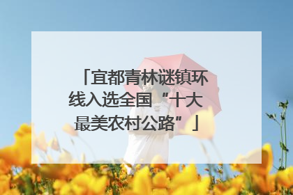 宜都青林谜镇环线入选全国“十大最美农村公路”