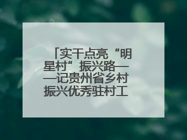 实干点亮“明星村”振兴路——记贵州省乡村振兴优秀驻村工作队员王培欢
