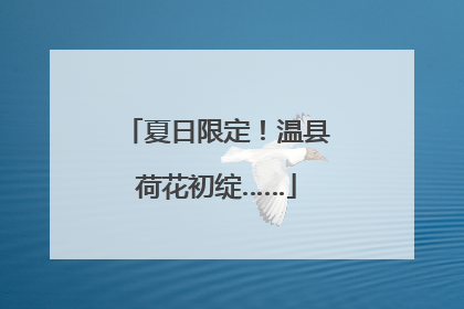 夏日限定！温县荷花初绽……