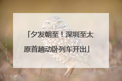 夕发朝至！深圳至太原首趟动卧列车开出