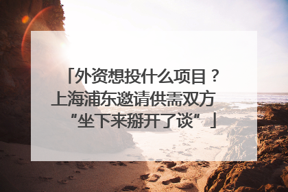 外资想投什么项目？上海浦东邀请供需双方“坐下来掰开了谈”