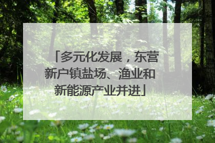 多元化发展，东营新户镇盐场、渔业和新能源产业并进