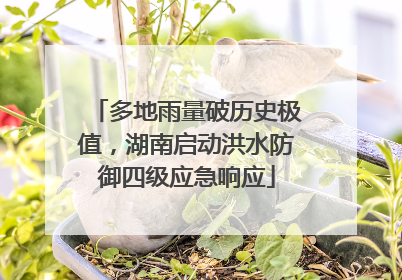 多地雨量破历史极值，湖南启动洪水防御四级应急响应