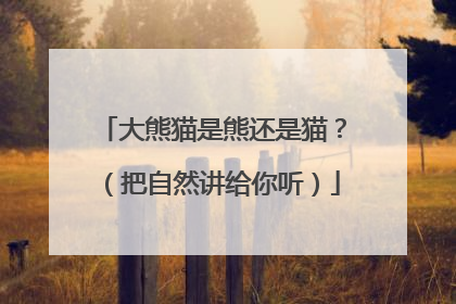 大熊猫是熊还是猫？（把自然讲给你听）