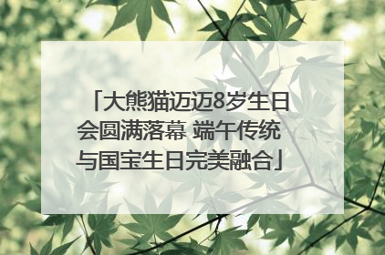 大熊猫迈迈8岁生日会圆满落幕 端午传统与国宝生日完美融合