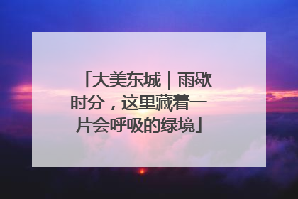 大美东城｜雨歇时分，这里藏着一片会呼吸的绿境