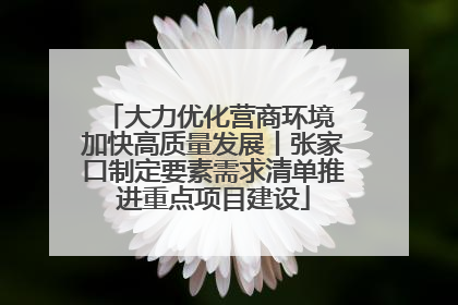 大力优化营商环境 加快高质量发展丨张家口制定要素需求清单推进重点项目建设
