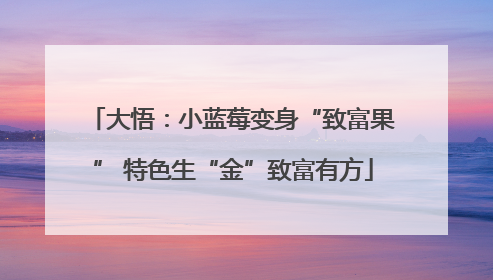 大悟：小蓝莓变身“致富果” 特色生“金”致富有方