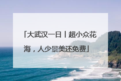 大武汉一日丨超小众花海，人少景美还免费
