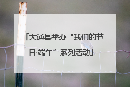 大通县举办“我们的节日·端午”系列活动