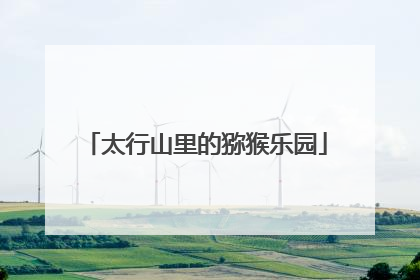 太行山里的猕猴乐园