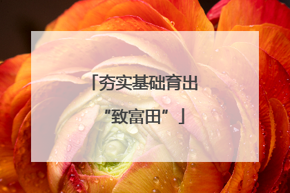夯实基础育出“致富田”
