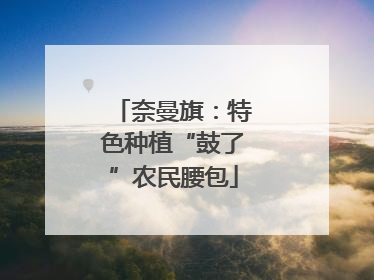 奈曼旗：特色种植“鼓了”农民腰包