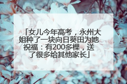 女儿今年高考，永州大姐种了一块向日葵田为她祝福：有200多棵，送了很多给其他家长