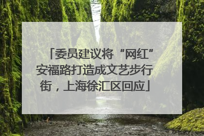 委员建议将“网红”安福路打造成文艺步行街，上海徐汇区回应