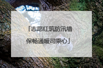 志愿红筑防汛墙 保畅通暖司乘心