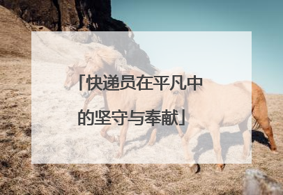 快递员在平凡中的坚守与奉献
