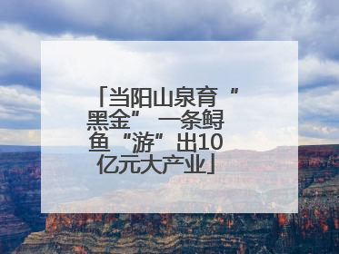 当阳山泉育“黑金” 一条鲟鱼“游”出10亿元大产业