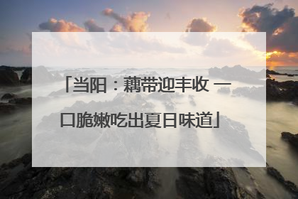 当阳：藕带迎丰收 一口脆嫩吃出夏日味道