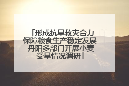 形成抗旱救灾合力 保障粮食生产稳定发展 丹阳多部门开展小麦受旱情况调研