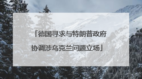 德国寻求与特朗普政府协调涉乌克兰问题立场