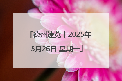 德州速览丨2025年5月26日 星期一