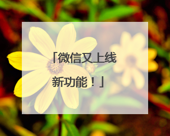 微信又上线新功能！