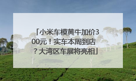 小米车模黄牛加价300元！实车本周到店？大湾区车展将亮相