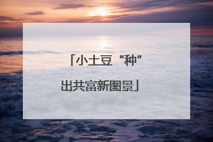 小土豆“种”出共富新图景