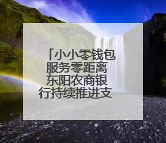 小小零钱包 服务零距离 东阳农商银行持续推进支付便利化