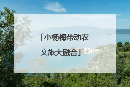 小杨梅带动农文旅大融合