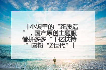 小镇里的“新质造”，国产原创主题服借拼多多“千亿扶持”圈粉“Z世代”