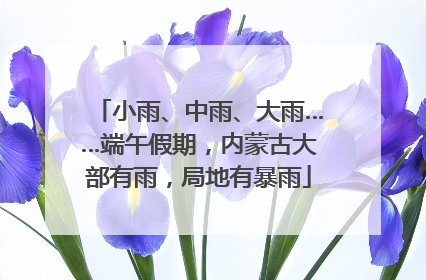 小雨、中雨、大雨……端午假期，内蒙古大部有雨，局地有暴雨