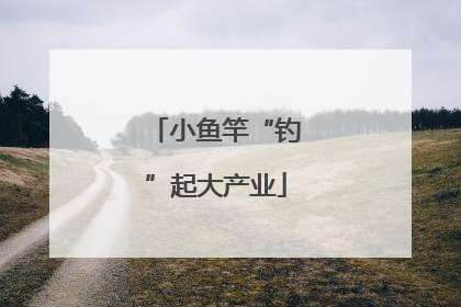小鱼竿“钓”起大产业
