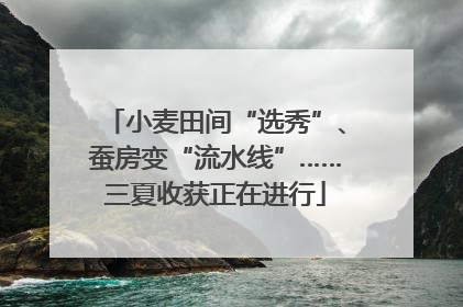 小麦田间“选秀”、蚕房变“流水线”……三夏收获正在进行