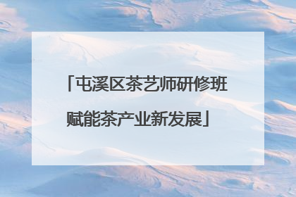 屯溪区茶艺师研修班赋能茶产业新发展